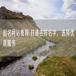 起名网站推荐 打造吉祥名字，选择优质服务
