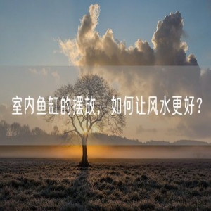 室内鱼缸的摆放，如何让风水更好？