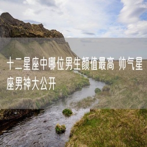 十二星座中哪位男生颜值最高 帅气星座男神大公开