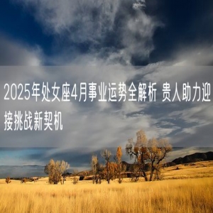 2025年处女座4月事业运势全解析 贵人助力迎接挑战新契机