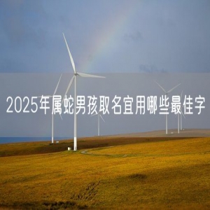 2025年属蛇男孩取名宜用哪些最佳字
