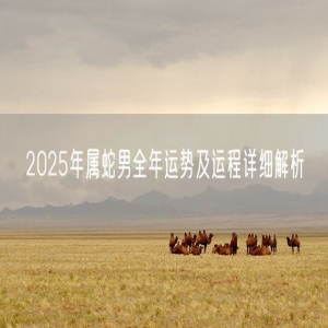 2025年属蛇男全年运势及运程详细解析