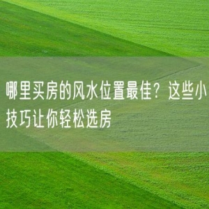 哪里买房的风水位置最佳？这些小技巧让你轻松选房