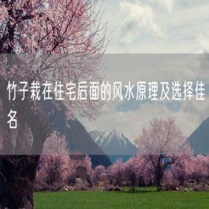 竹子栽在住宅后面的风水原理及选择佳名