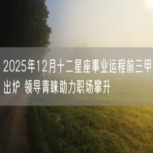 2025年12月十二星座事业运程前三甲出炉 领导青睐助力职场攀升