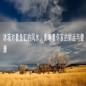 冰箱对着鱼缸的风水，影响着你家的财运与健康