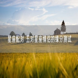 星座配对 五对星座情侣的缘分测试