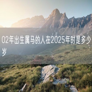 02年出生属马的人在2025年时是多少岁