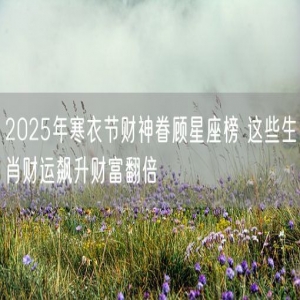2025年寒衣节财神眷顾星座榜 这些生肖财运飙升财富翻倍