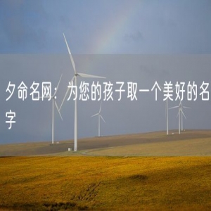 夕命名网：为您的孩子取一个美好的名字