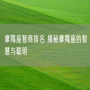 摩羯座智商排名 揭秘摩羯座的智慧与聪明