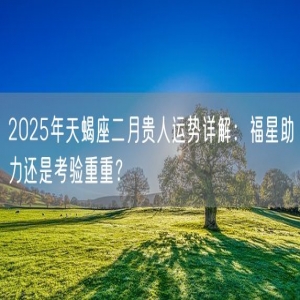 2025年天蝎座二月贵人运势详解：福星助力还是考验重重？