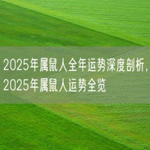 2025年属鼠人全年运势深度剖析，2025年属鼠人运势全览