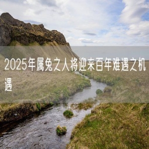 2025年属兔之人将迎来百年难遇之机遇