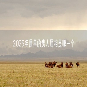 2025年属羊的贵人属相是哪一个