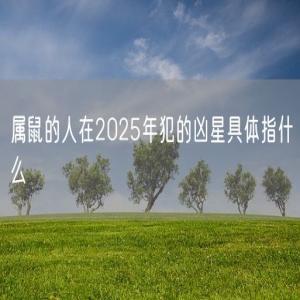 属鼠的人在2025年犯的凶星具体指什么