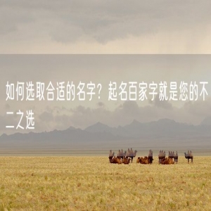 如何选取合适的名字？起名百家字就是您的不二之选