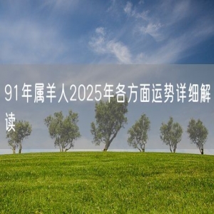 91年属羊人2025年各方面运势详细解读