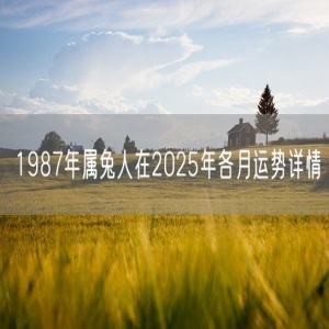 1987年属兔人在2025年各月运势详情