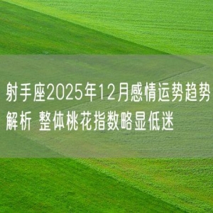 射手座2025年12月感情运势趋势解析 整体桃花指数略显低迷