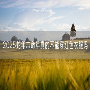 2025蛇年本命年真的不能穿红色衣服吗
