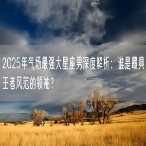 2025年气场最强大星座男深度解析：谁是最具王者风范的领袖？