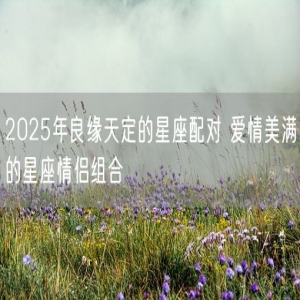 2025年良缘天定的星座配对 爱情美满的星座情侣组合