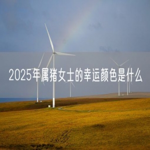2025年属猪女士的幸运颜色是什么