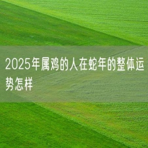 2025年属鸡的人在蛇年的整体运势怎样